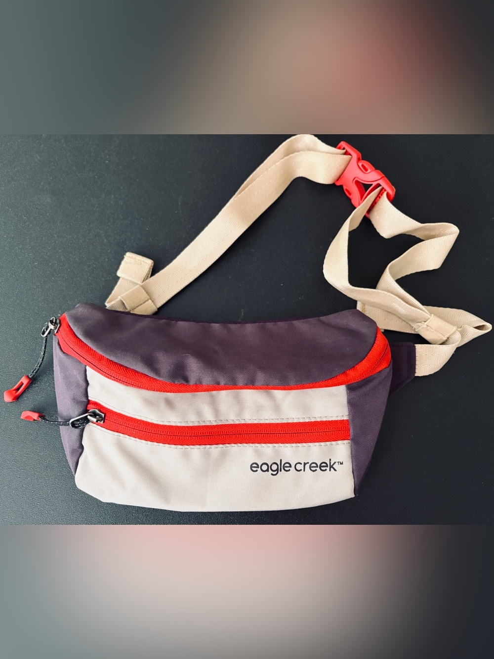 Eagle Creek Stash Crossbody Bag